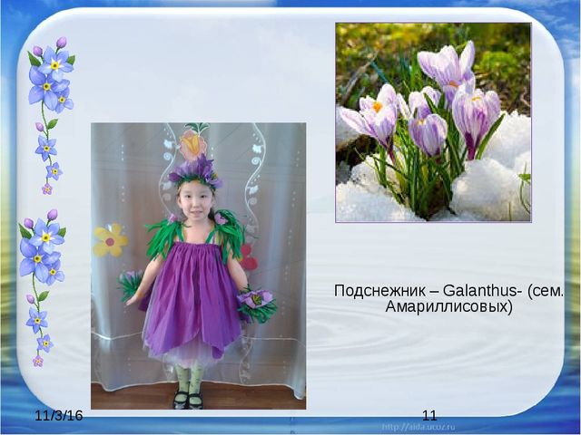 Презентация "Красная книга Аршана"