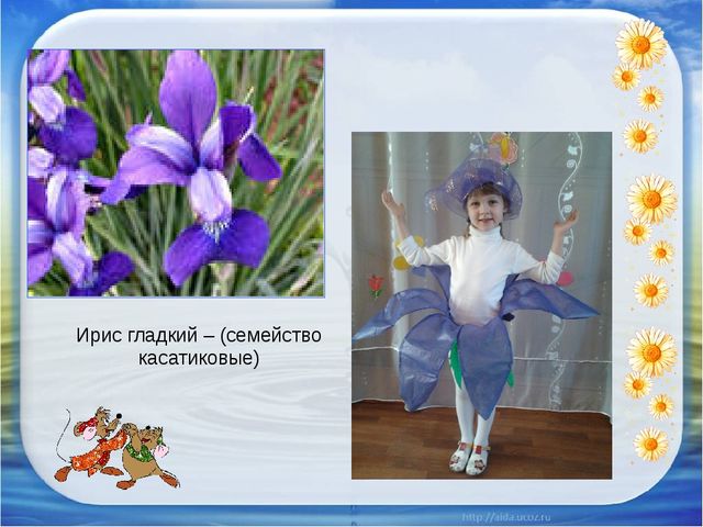 Презентация "Красная книга Аршана"