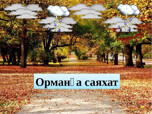 Презентация по математике цифра 5