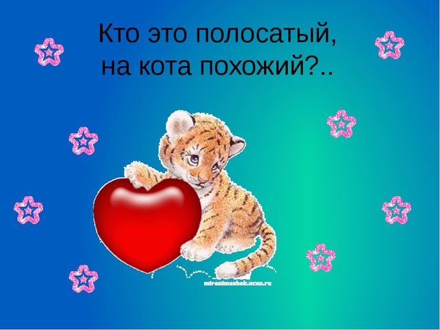Презентация к празднику Сагаалган (Старшая группа)