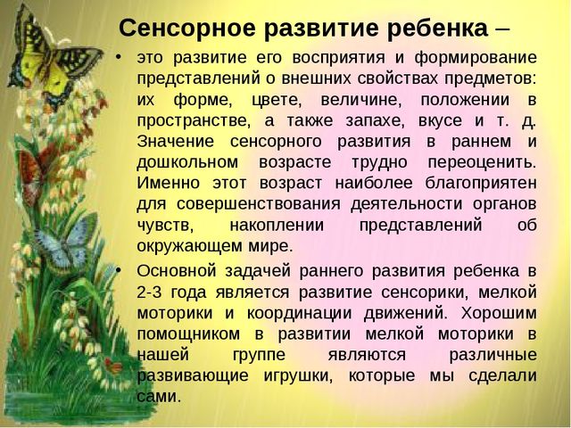 Методическая разработка по сенсомоторному развитию детей раннего возраста,с использованием дидактического пособия " Гусеница на цветочной поляне"