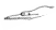 Picture 1