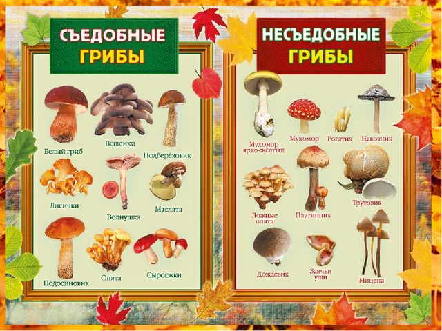Презентация на тему "Белый гриб. Лепка"