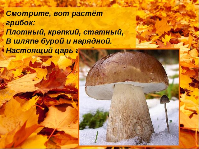 Презентация на тему "Белый гриб. Лепка"