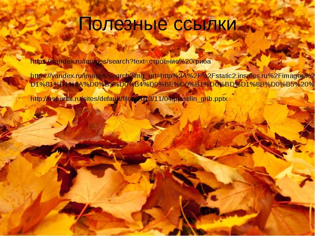 Презентация на тему "Белый гриб. Лепка"