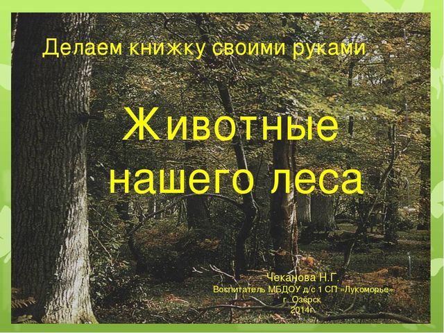 Презентация "Делаем книжку своими руками"