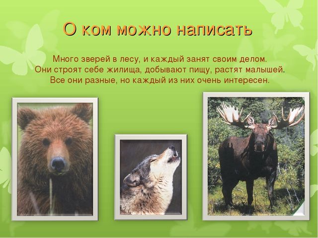 Презентация "Делаем книжку своими руками"