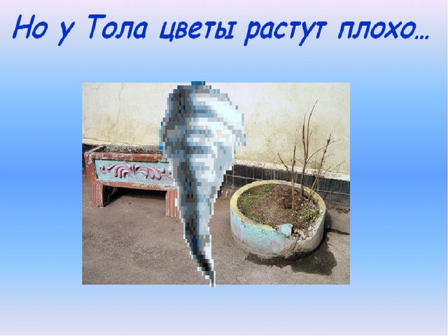 Презентация "Сказка о толерантности"