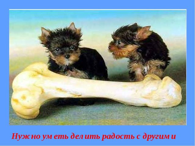 Презентация "Сказка о толерантности"
