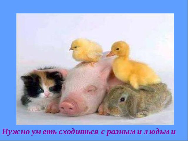 Презентация "Сказка о толерантности"