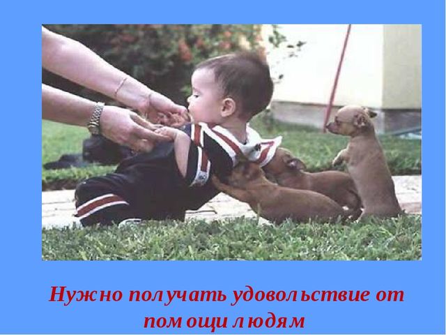 Презентация "Сказка о толерантности"