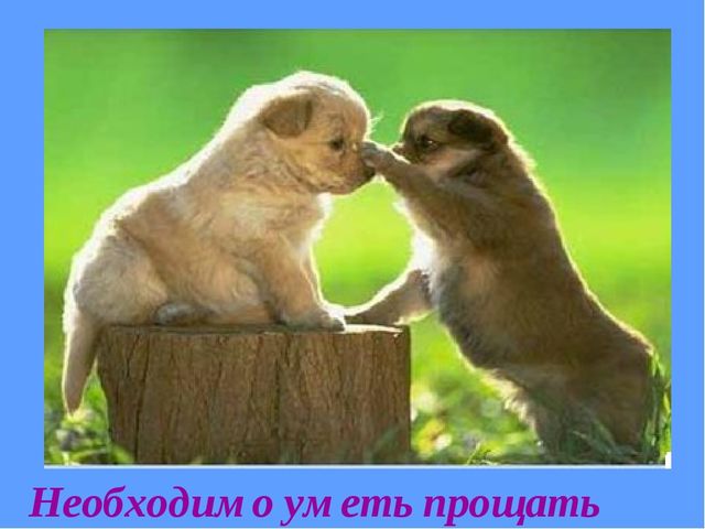 Презентация "Сказка о толерантности"