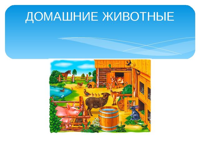 Презентация на тему "Домашние животные"