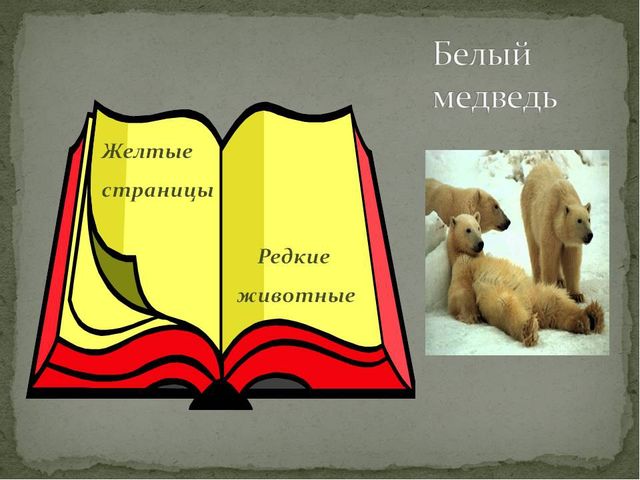 Презентация на тему "Красная книга" для подготовительной группы