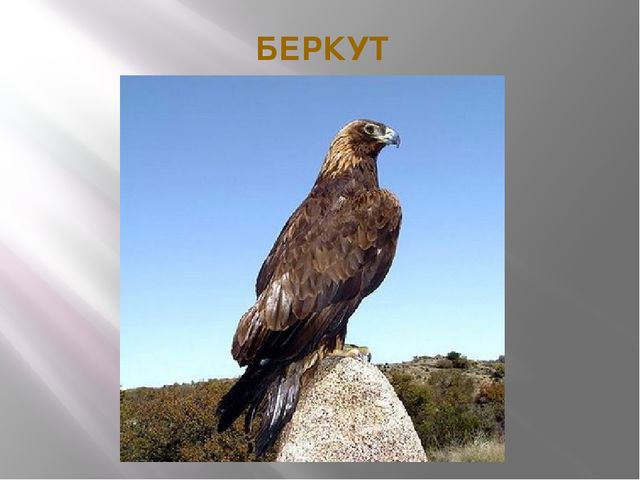 Презентация на тему "Красная книга" для подготовительной группы