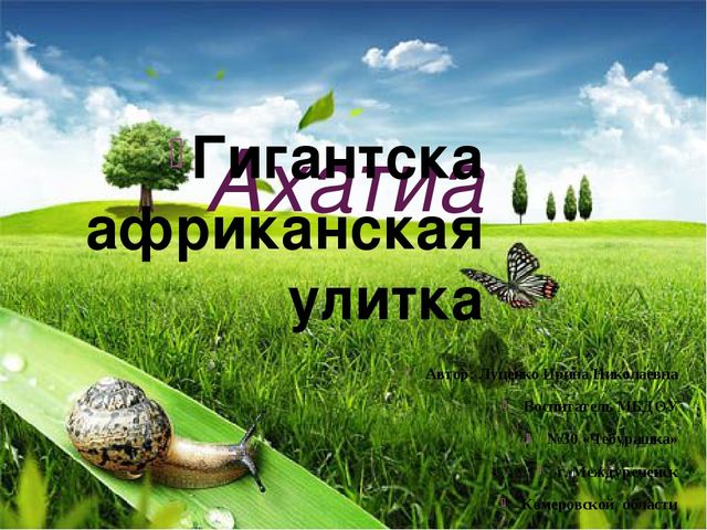 Презентация по ознакомлению с миром природы