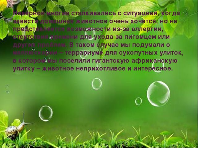 Презентация по ознакомлению с миром природы