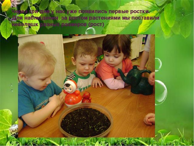Презентация по ознакомлению с миром природы