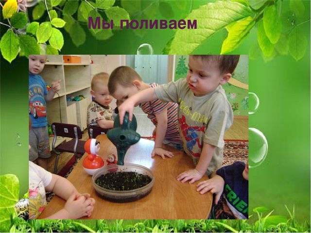 Презентация по ознакомлению с миром природы