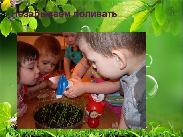 Презентация по ознакомлению с миром природы
