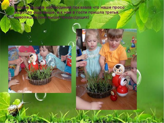 Презентация по ознакомлению с миром природы