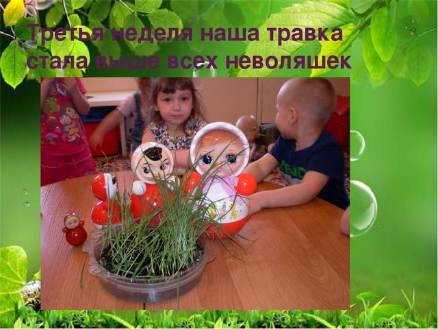 Презентация по ознакомлению с миром природы