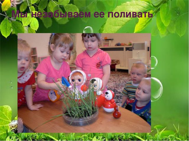 Презентация по ознакомлению с миром природы