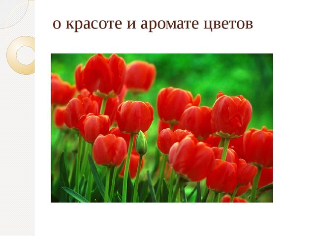Организация экскурсий с дошкольниками