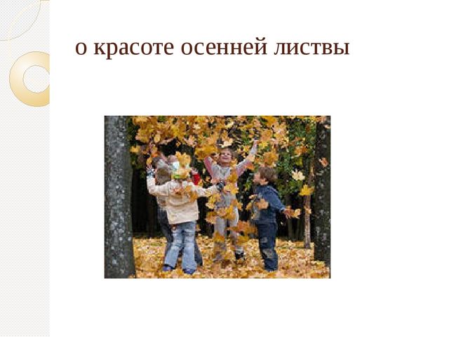 Организация экскурсий с дошкольниками