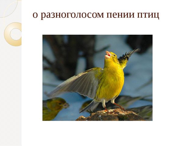 Организация экскурсий с дошкольниками