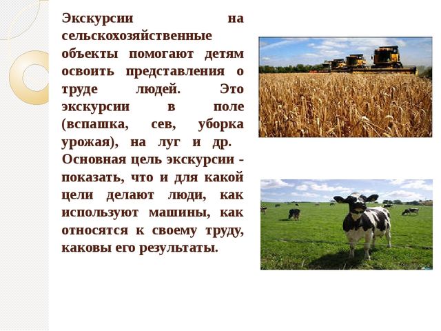Организация экскурсий с дошкольниками