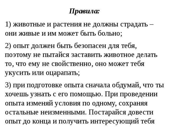 Технология организации элементарных опытов с дошкольниками
