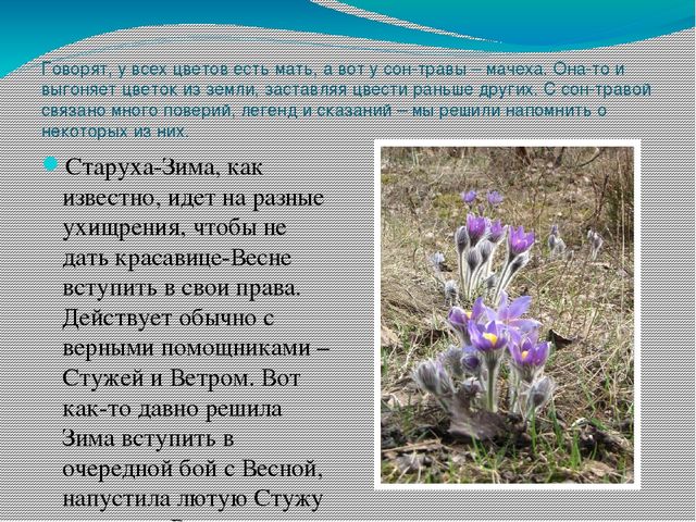 Презентация по ознакомлению с миром природы