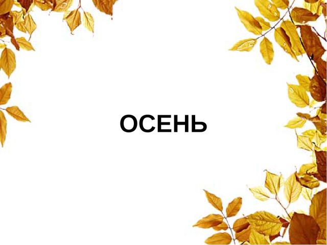 Презентация для занятий по изучению окружающего мира "Осенние загадки"
