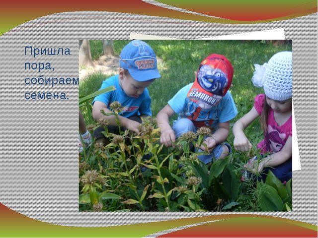 Презентация " Вот оно какое наше лето"