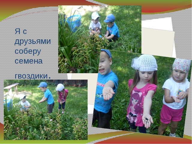 Презентация " Вот оно какое наше лето"