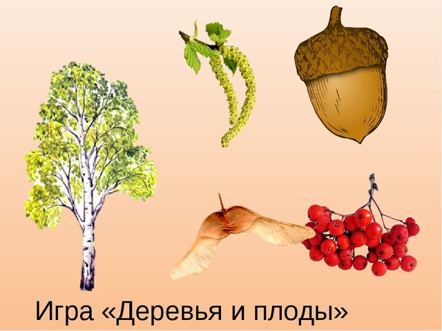 По плодам их узнаете их картинки