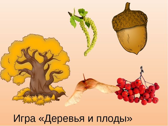 Презентация к занятию "Деревья осенью", старшая группа.