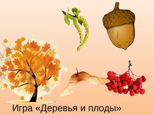 Презентация к занятию "Деревья осенью", старшая группа.