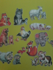 Picture 1