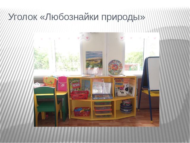 Предметно- развивающая среда во 2 мл.группе