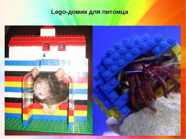 Презентация по лего-конструированию "Нетрадиционное использование конструктора Лего"