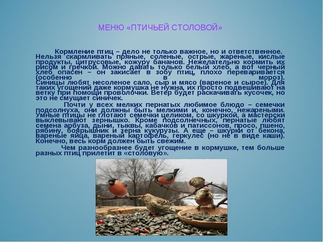 Презентация воспитателя на тему: "Покормите птиц зимой"
