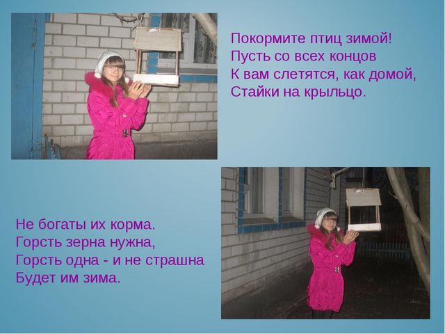 Презентация воспитателя на тему: "Покормите птиц зимой"