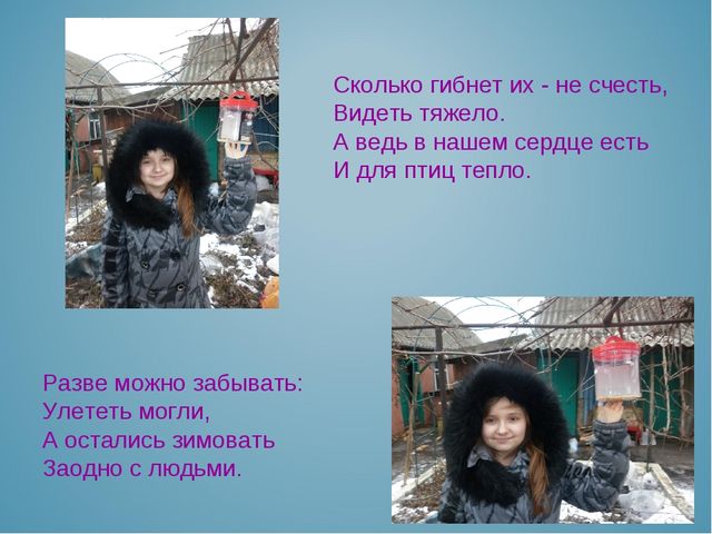 Презентация воспитателя на тему: "Покормите птиц зимой"