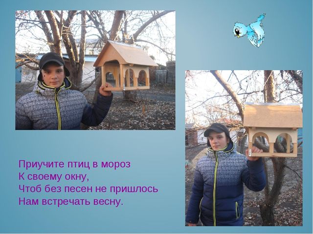 Презентация воспитателя на тему: "Покормите птиц зимой"