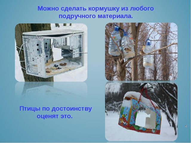 Презентация воспитателя на тему: "Покормите птиц зимой"
