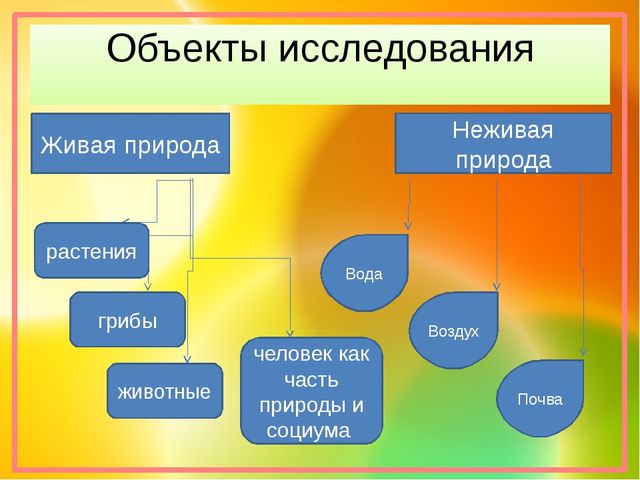 Презентация воспитателя на тему "Экспериментирование"