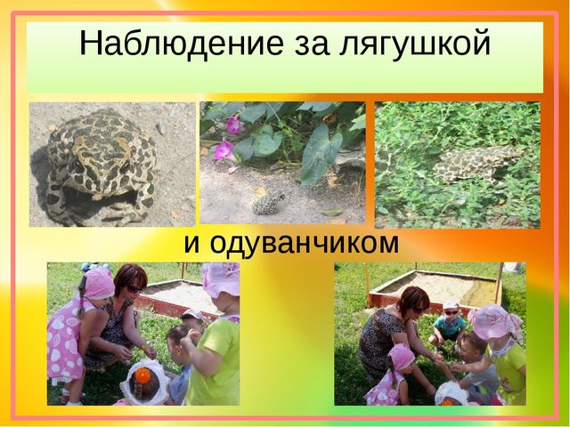 Презентация воспитателя на тему "Экспериментирование"