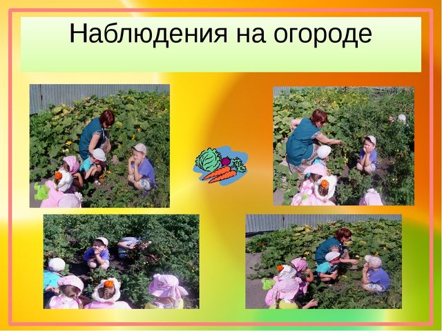 Презентация воспитателя на тему "Экспериментирование"